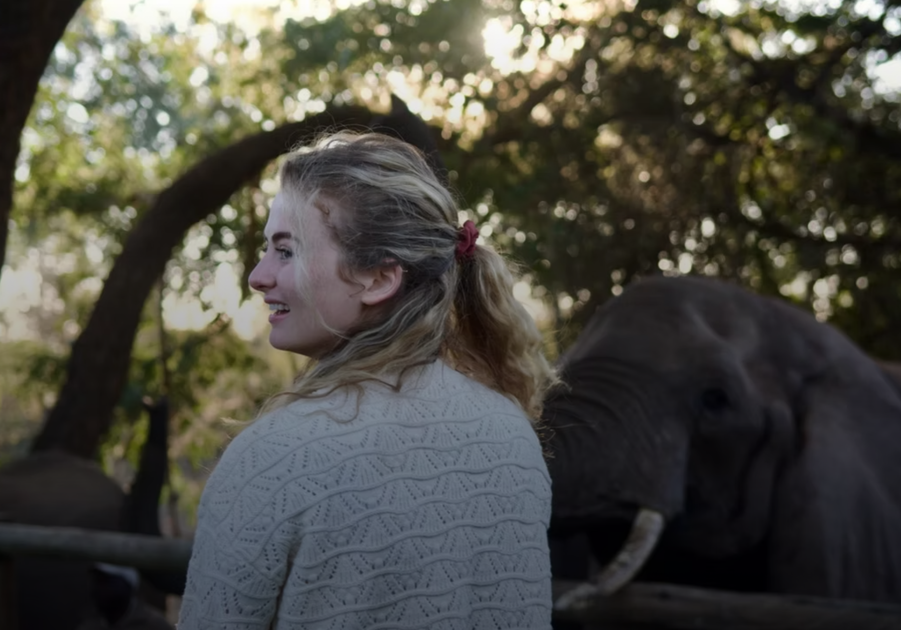 Screenshot 2026-02-23 at 16.59.56